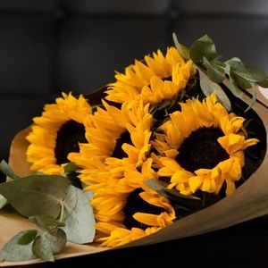 Meet your Posher, Mina